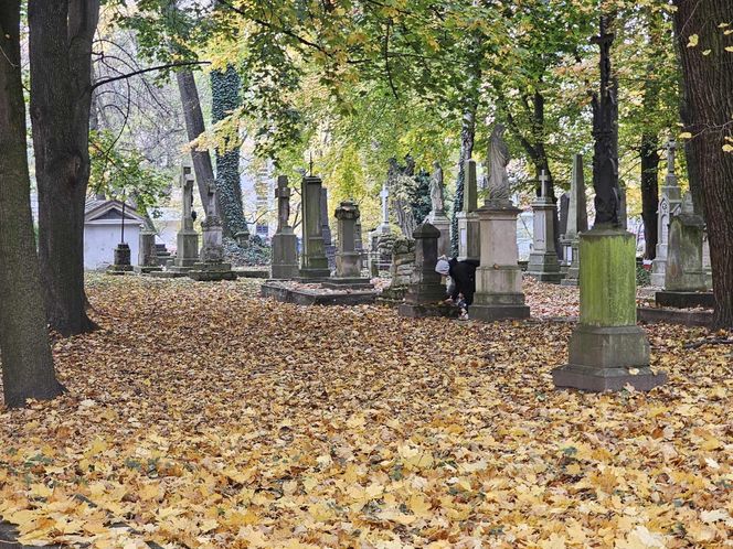 Jak wygląda najstarszy cmentarz w Rzeszowie przed 1 listopada