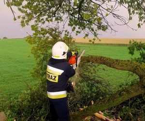Potężna burza przeszła przez Bydgoszcz i region. Ponad 400 interwencji strażaków!