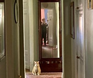 Dom Krystyny Jandy w Milanówku