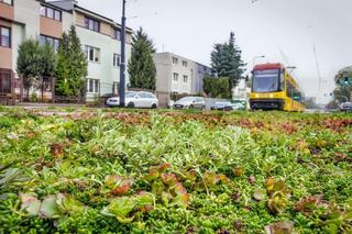 Tory tramwajowe w Warszawie pachną włoską pizzą