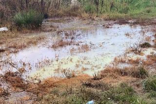 Zrzut nieznanych substancji przy ul. Berensona w Warszawie