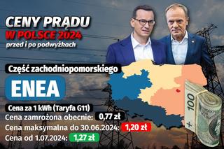 Ceny prądu w Polsce 2024 - przed i po podwyżkach 