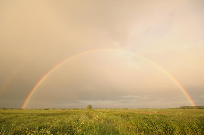 Magiczne Podlasie