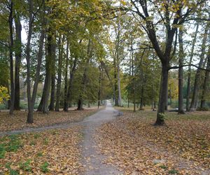 Park Lubomirskich w Białymstoku jesienią 