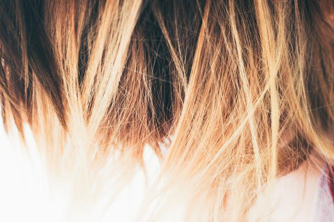 Włosy mają wielką moc w walce z rakiem! Sprawdź, co robi Lublin „Z miłości do włosów”
