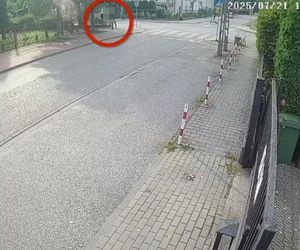 Wołomin. Napadł na seniorkę w biały dzień. 43-latek zatrzymany przez kryminalnych