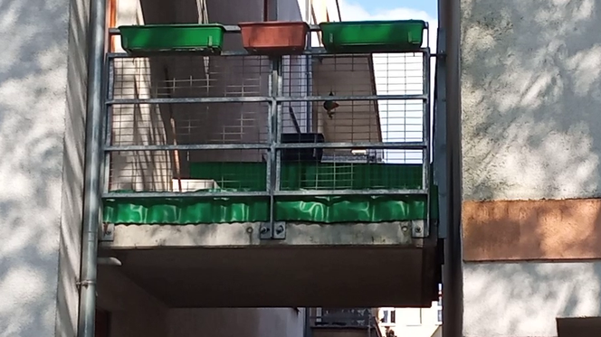 Balkony z widokiem na ścianę