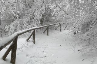 Nawet 60 cm śniegu. Turyści w Bieszczadach muszą uważać. Bieszczadzki Park Narodowy ostrzega