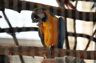 ZooPark ponownie przyciągnął do Targów Lublin tłumy miłośników zwierząt