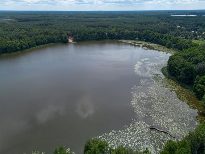 Grób harcerza Dominika utonął w kwiatach