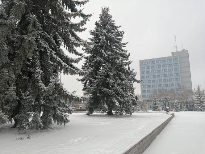 Zimowe klimaty w Siedlcach. Zobacz zdjęcia!