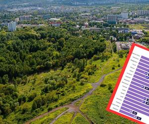 Katowice na 2. miejscu rankingu zielonych miast