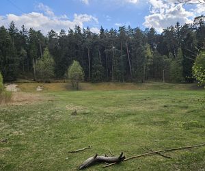 Stadion Leśny w Olsztynie dawniej i dziś. To tam bito rekordy świata w lekkiej atletyce