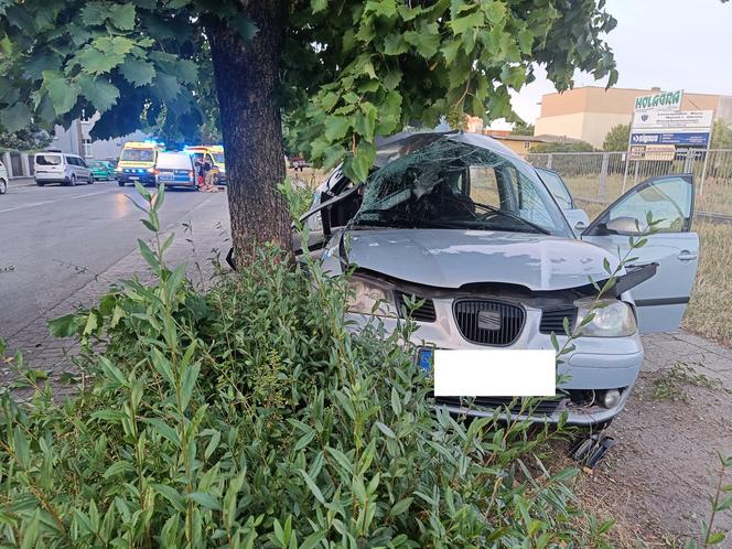 Samochód uderzył w drzewo. Pięc młodych osób w szpitalu