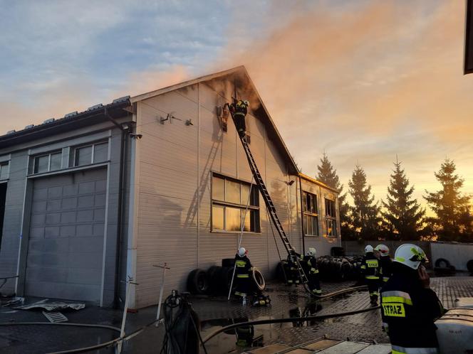 Pożar hali remontowej w Bodzentynie. Zawalił się dach, spłonęły 3 ciężarówki