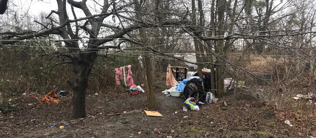 W krzakach pod blokiem na wrocławskim Gaju osiedliła się para bezdomnych!