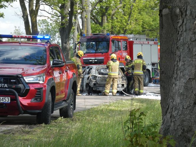 Zwęglone zwłoki w elektrycznym oplu. Samochód uderzył w drzewo i stanął w płomieniach