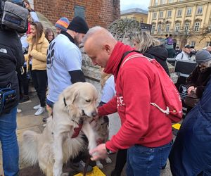 33. Finał WOŚP z grupą krakowskich Golden Retrieverów