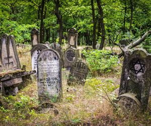 Otwock dawnym uzdrowiskiem pod Warszawą