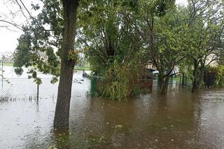 Trudna sytuacja w Małopolsce. Służby walczą z podtopieniami