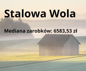 W tych gminach na Podkarpaciu zarabia się najwięcej 