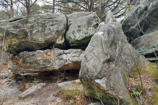 Rezerwat Przyrody Skały pod Adamowem