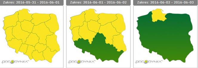 Kolorem żółtym oznaczono województwa, w których obowiązuje alert I stopnia