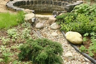 Kamienie z roslinami w ogrodowej kompozycji