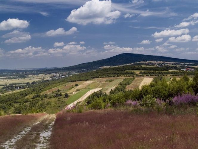 Radostowa w Górach Świętokrzyskich