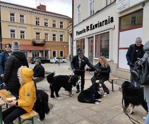 32. Finał Wielkiej Orkiestry Świątecznej Pomocy w Tarnowie