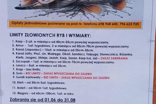 Sum gigant Rafała Kopra