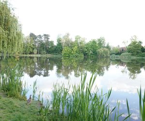 Park Sołacki 