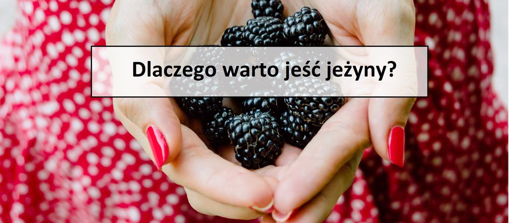Jeżyny