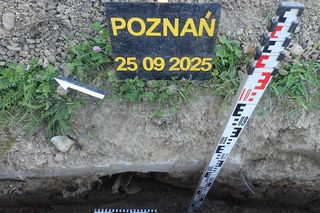 Ludzkie szczątki przy wydziale UAM