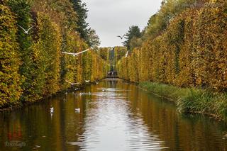 Lądowisko na wodzie [ZDJĘCIE DNIA]