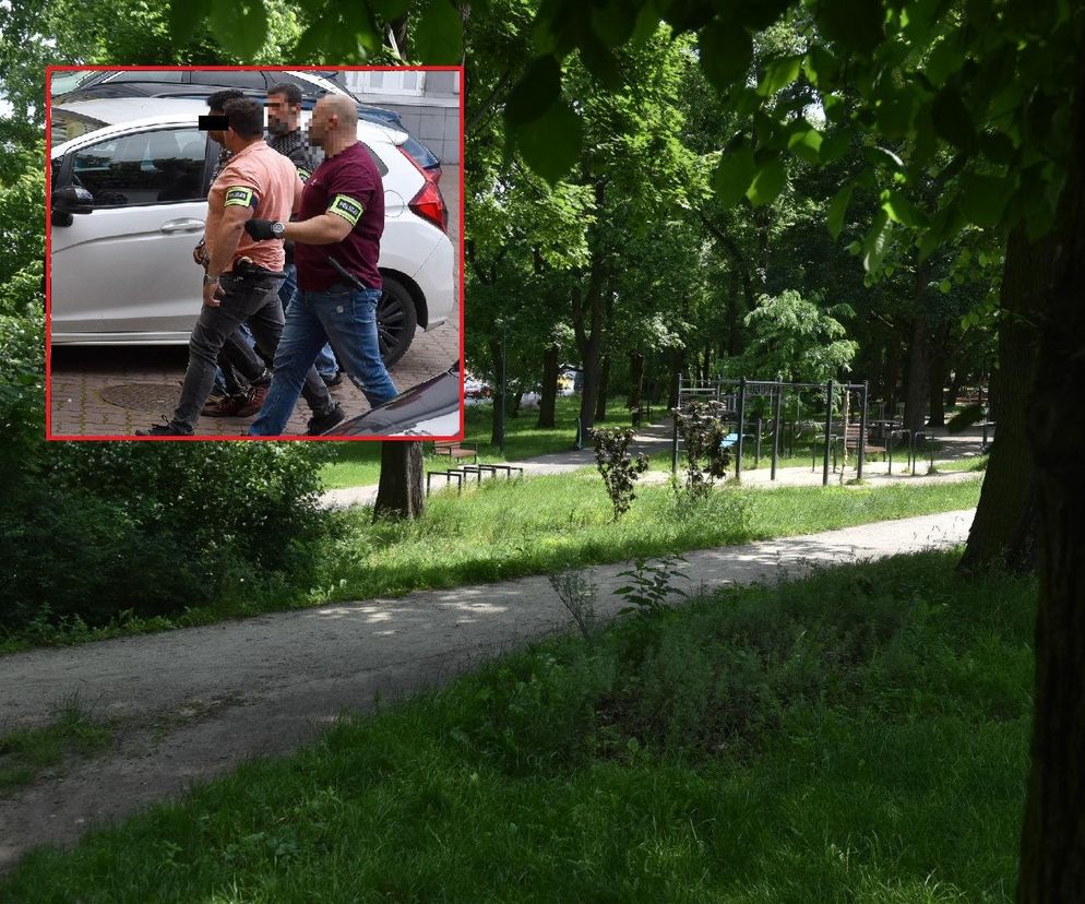 Wstępne wyniki sekcji zwłok 24-latki z Torunia: Uraz mózgu przyczyną śmierci