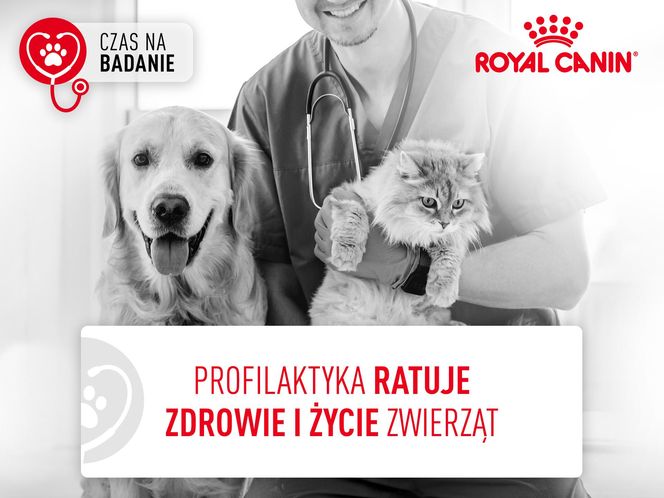Czas na badanie