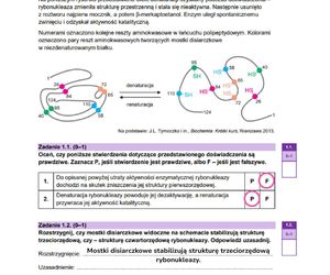 Matura biologia rozszerzona 2025 - wszystkie ODPOWIEDZI. Gotowe rozwiązania arkuszy CKE! [9.05.2025]