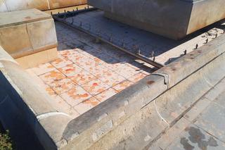 Akcja aktywistów klimatycznych w Warszawie 