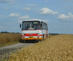 Kraśnicki, zabytkowy autosan za darmo przewiezie chętnych. To w ramach Dnia Bez Samochodu
