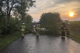 Podlaskie. Ponad 200 niedzielnych interwencji strażaków w związku z silnym wiatrem i burzami