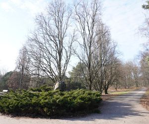 2. Park Cytadela 