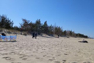 Zakaz psów na trójmiejskich plażach aż do września. Teraz wejdziesz tylko na niektóre z nich