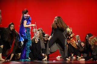 Kraków: Lew - Król Sawanny rzucił widzów na kolana