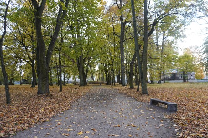 Park Lubomirskich w Białymstoku jesienią 