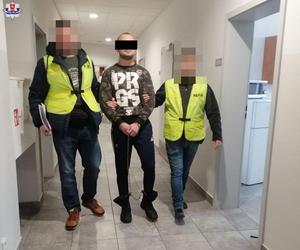 18-letni dresiarz siał grozę w galerii handlowej. Robił, co chciał. Szok!