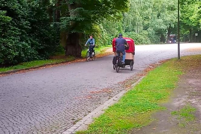 Ohlsdorfer Friedhof w Hamburgu
