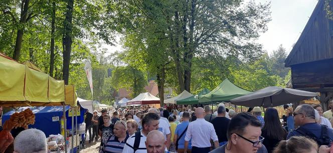 Tłumy na dożynkach w Olsztynku. Zobacz, jak bawili się mieszkańcy Warmii i Mazur [ZDJĘCIA]
