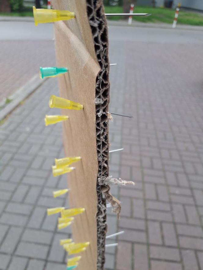 Makabryczna pułapka na zwierzęta w Katowicach. Kto na ulicy postawił kartonowy pas nabity igłami?