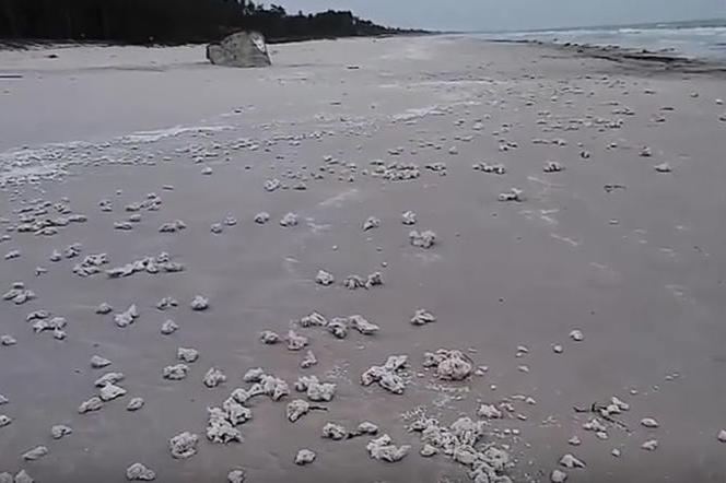 Białe bryły pojawiły się na plaży w gm. Choczewo